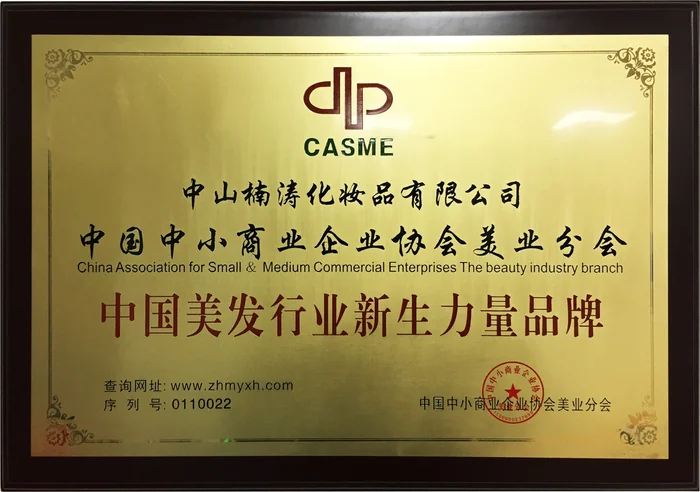 中国美发行业新生力量品牌牌匾